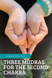 Each of your 7 chakras has a particular colour, mantra, situation, and range of experiences. Three Mudras For Svadisthana Chakra Ambuja Yoga