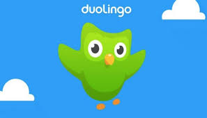 The google home app sets up and manages chromecast, google home, and other smart device. Duolingo App Website Not Working With Error Jul 2021