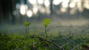 Venez parcourir nos différents parcs naturels et prenez nos images d'élément de la nature et autres végétaux. ÙÙŠ Ù‡Ø°Ø§ Ø§Ù„Ø¹Ø§Ù„Ù… Ø§Ù„ÙˆØ³ÙŠØ¹ Ø£Ø´Ø®Ø§Øµ Ù…Ù† Ù…Ù†Ø§Ø·Ù‚ Ù…Ø®ØªÙ„ÙØ© Ùˆ ØªÙ‚Ø§Ù„ÙŠØ¯ Ùˆ Ø¹Ø§Ø¯Øª Ùˆ Ù„ØºØ§Øª Ù…Ø®Øª Ù‚ØµØµØ§Ù„Ø®ÙŠØ§Ù„ÙØ§Ù†ØªØ§Ø²ÙŠØ§ Ù‚ØµØµ Ø§Ù„Ø®ÙŠØ§Ù„ ÙØ§Ù†ØªØ§Ø²ÙŠØ§ A Nature Gif Nature Images Beautiful Nature
