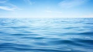 Blue ocean academy is well reputed training organization with well experienced trainers. The Blue Ocean Strategy Summary With 3 Examples