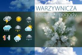 We did not find results for: Czas Na Pierwszy Snieg Warzywnicza Prognoza Pogody Z 20 11 2020 R Warzywa Pl