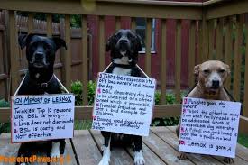 Bully Breed Soldiers Unite Facebook Click For Link To Page American Pitbull Terrier Talking Dog Bully Breeds