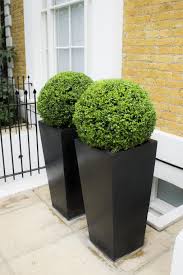 Our square planters, available in a variety of styles, materials and colours whether you're looking for one planter or a collection, browse our square plant boxes to complete your garden beautifully. Polystone Tall Black Tapered Square Planter With Buxus Ball D 40cm Real Plant London Planters