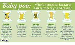 The Visual Baby Poo Diaries Ten Bits Of Information Bryony Perfectly Imperfect
