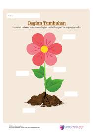 Im happy now in khoirul ummah preschool lks lembar. Bagian Tumbuhan Dan Fungsinya Lembarkerja Com