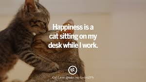 25 Cute Cat Images With Quotes For Crazy Cat Ladies Gentlemen And Lovers These was the best 27 hd tamil love quote images, hope you like all these images and share it with your partner and don't forget to comment about these lovely quotes. 25 cute cat images with quotes for