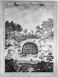 Browse the user profile and get inspired. La Cassia Dei Castori Rossi Engraver Beaver Hunting As Depicted In Download Scientific Diagram