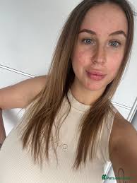 Smooth chow Chow Chow puppies for sale