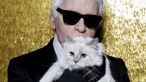 Whether you've adopted a new male kitty or successfully teaching your cat to respond to its name is fundamental for every pet parent. Whatever Happened To Choupette Karl Lagerfeld S Pampered Cat