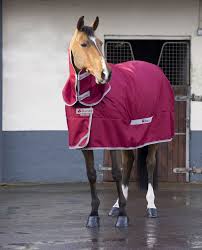 Select With Neck In Ruby Horse Boots Equestrian Style Horsewear