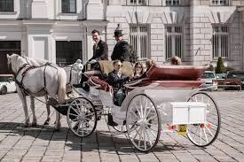 Fiaker is a viennese specialty coffee that consists of an espresso that is usually sweetened and then topped with whipped cream. Through Vienna In A Horse Drawn Carriage Vienna Now Forever