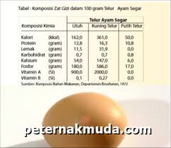 We did not find results for: Ayo Kenali Kelebihan Telur Elinotes Review