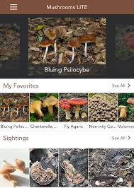 Check spelling or type a new query. Five Free Apps For All Levels Of Foraging Mold Designing The Future Of Food
