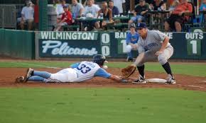 Myrtle Beach Pelicans Best Sports Attractions In Myrtle Beach