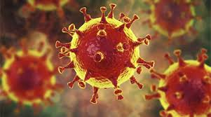 This includes staying home, avoiding crowded places and big groups. Wuhan Coronavirus Scientists In Singapore Culture Virus From Patient
