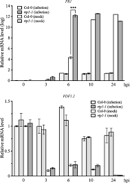 Collins,2 john marshall,3 and raymond t. Rtp1 Encodes A Novel Endoplasmic Reticulum Er Localized Protein In Arabidopsis And Negatively Regulates Resistance Against Biotrophic Pathogens Pan 2016 New Phytologist Wiley Online Library