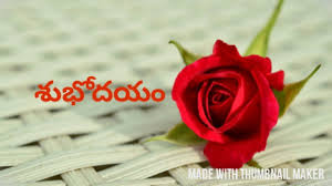 Telugu quotes, good morning inspirational quotes in telugu life quotes in telugu images latest good morning inspirational quotes and sayings best wishes, elugu new good morning quotes and wishes, 2020 telugu good morning top quotes and whatsapp images, awesome telugu language morning messages, telugu good morning sms collections, telugu morning wishes for wife, telugu good morning quotations. Beautiful Flowers Quotes Telugu
