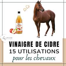 Vinaigre De Cidre Comment L Utiliser Pour Mon Cheval En 2020 Cidre Vinaigre Cheval