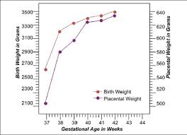 The Relationship Between The Weight Of The Placenta And