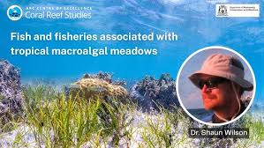 Why are there so many endemic species in the Red Sea? A seminar by  Professor Michael Berumen