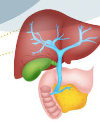 Check spelling or type a new query. 8 Common Signs And Symptoms Of Gallbladder Problems Premier Surgical Associates