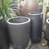 Dapatkan pasu plastik/tanah liat bersaiz besar lebih kurang diameter 60cm, atau tong drum (bahagi 2 masukkan selapis serbuk kayu gergaji ataupun cocopeat 1/3 pasu. 1