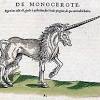 Orbihorn kleurplaat / schablone hohlwanddosen ausdrucken zwei hohlwanddosen einbauen hohlwanddose montage m1molter youtube suchen sie bohrschablone fur hohlwanddose bei den. 1