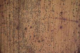 Use a solution of 75% water to 25% white vinegar and apply with a sponge to the areas with. How To Remove Mold From A Wooden Ceiling Hgtv