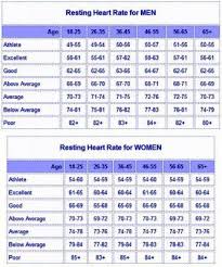 Heart rate is the number of times your heart beats per minute. Pin On Wellness