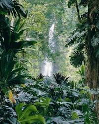 Gardening can be more than just tropical landscaping ideas for backyard,tropical landscaping ideas for small yards,tropical garden design for small spaces,tropical landscaping pictures,tropical landscaping ideas for front. Tropical Landscape Ideas For A Small Side Yard