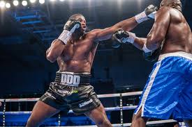 Fourteen of those victories have come inside the distance. Daniel Dubois The Heavyweight Rising Star S Fitness Diary British Gq British Gq