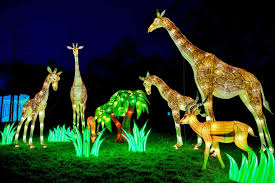 China Light Festival At Cologne Zoo Animal Paintings Zoo Art Animal Photo