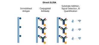 Quickey elisa ® kit developed by elabscience is an improvement of the traditional sandwich elisa kit. Elisa Assays