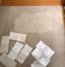 Shiny carpet cleaning serves you the best carpet cleaning services in springfield, washington dc metropolitan area including alexandria & falls church va. 31 Cleaning Products For A Squeaky Clean House In 2021