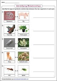 Printable Symbiosis Worksheets Symbiotic Relationships Science Worksheets Symbiosis