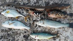 木更津沖堤防で釣り アナゴ ワカシ イシモチ Etcの五目釣り 渡船 栄宝丸
