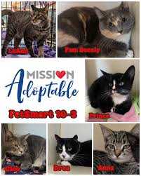 Second Chance For Animals