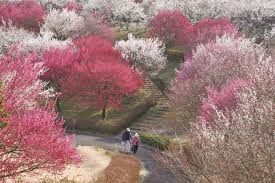 南足柄 運動 公園 テニス コート