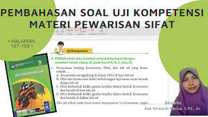 Feb 22, 2021 · mari kita cek kunci jawaban buku tematik tema 6 kelas 3 sd halaman 153, 154, 155 156 157 158 159 dan 160. Pembahasan Soal Uji Kompetensi Materi Pewarisan Sifat Kelas 9 Smp Halaman 157 Youtube