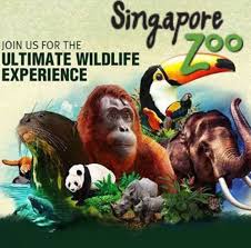 Enjoy low prices and great deals on the largest selection of everyday essentials and other products, including fashion, home, beauty, electronics, alexa devices, sporting goods, toys, automotive, pets, baby. Birthday Archives Giftout Free Giveaways Singapore Malaysia Usa Korea Worldwide