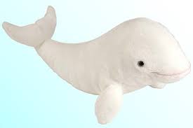 Wild Republic Cuddlekins Plush Beluga Whale Whale Stuffed Animal Beluga Whale Dinosaur Stuffed Animal