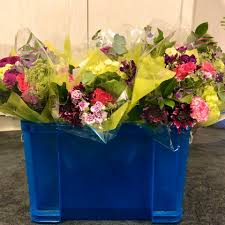 Hillcrest garden inc 95 west century rd. Main Wholesale Florist Home Facebook