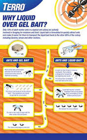Kill the ants once and for all using borax and sugar! Indoor Ant Baits Terro Indoor Baiting