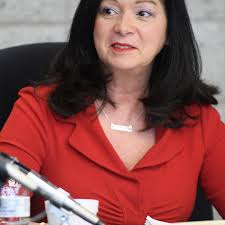 Cid returns as president of Lake County Council