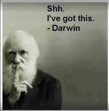 I got this meme funny. Dopl3r Com Memes Shh Ive Got This Darwin