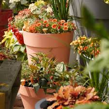 Liebe leserinnen, herzlich willkommen bei ihrer lisa! Ein Topfgarten Voller Ideen Topfgarten Kubelpflanzen Pflanzen