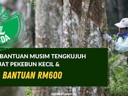 Lembaga getah malaysia (lgm) merupakan agensi kerajaan malaysia yang ditubuhkan bagi mengawasi dan memantau pertumbuhan dan penghasilan tanaman getah di malaysia. Mohon Bantuan Musim Tengkujuh Risda Buat Pekebun Kecil Terima Bantuan Rm600 Edu Bestari