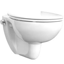 Wc Und Bidet Kombination In Einem Produkt Hochwertige Keramik Mit Integrierter Edelstahl Kugelkopfduse Und Keramikspulkasten In 2020 Wc Mit Dusche Wc Deckel Armaturen