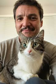 Making photos cuter with editing