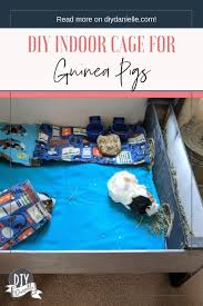 And our ultimate guide will make sure it isn't! Diy Wood Guinea Pig Cage Diy Danielle
